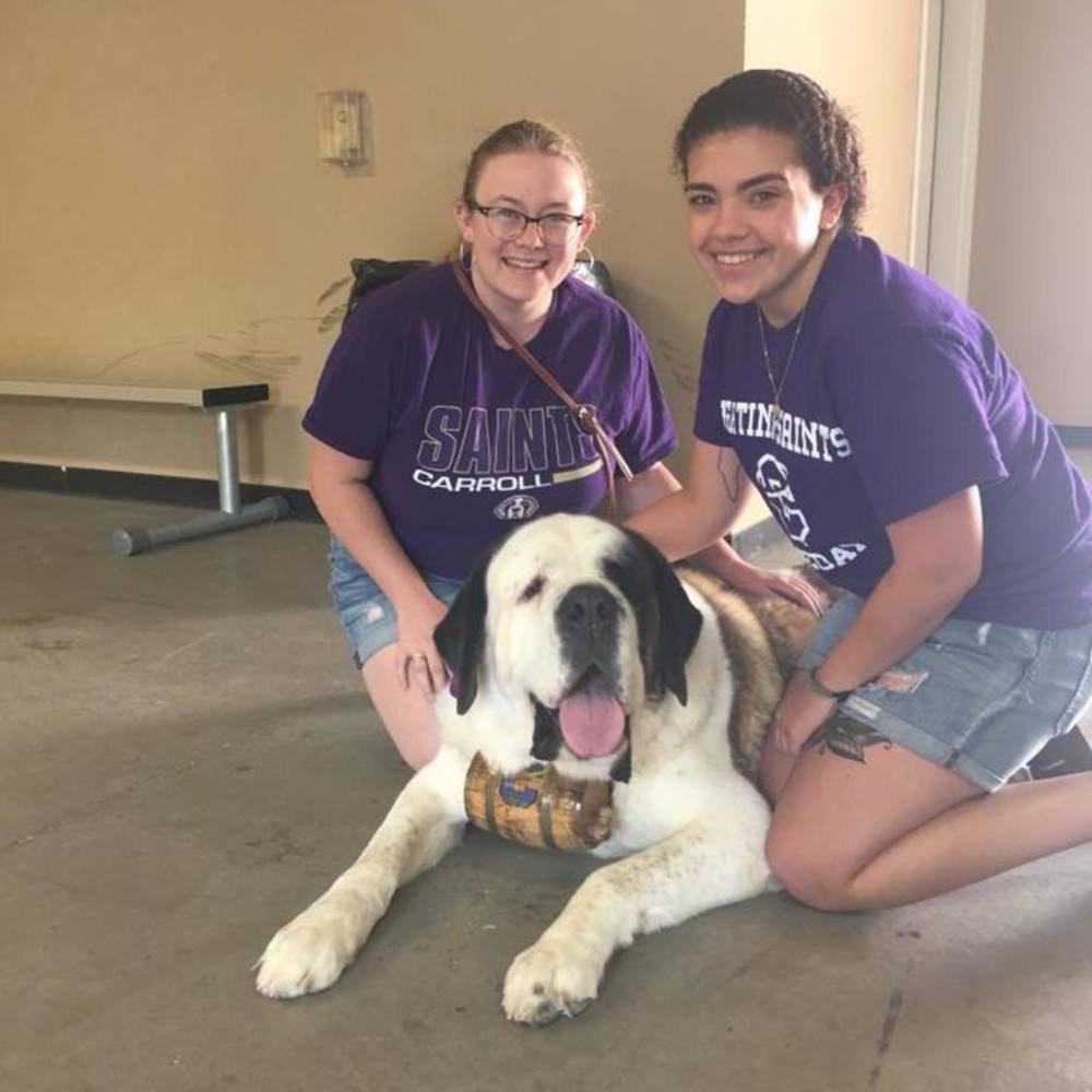 Meet your Posher, Kristina